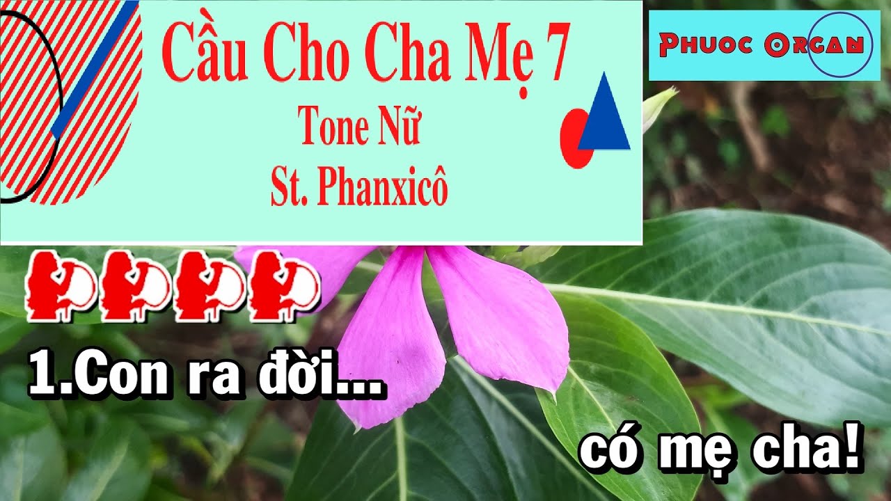 Cầu Cho Cha Mẹ 7 Karaoke Tone Nữ (St: Phanxicô) Thánh Ca Nhạc Sống Phối Mới Dễ Hát | Phước Organ