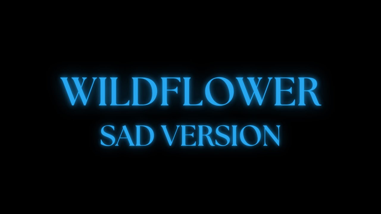 Billie Eilish - WILDFLOWER // sad version + lyrics 4K (requested)