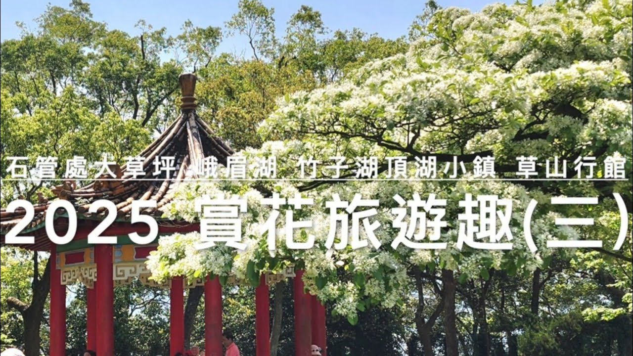 2025賞花旅遊趣之三