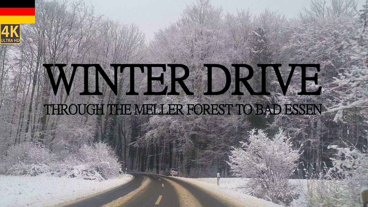 4K From Melle To Bad Essen Through The Forest on Wiehengebirge Meller Berge Niedersachsen Germany 4K