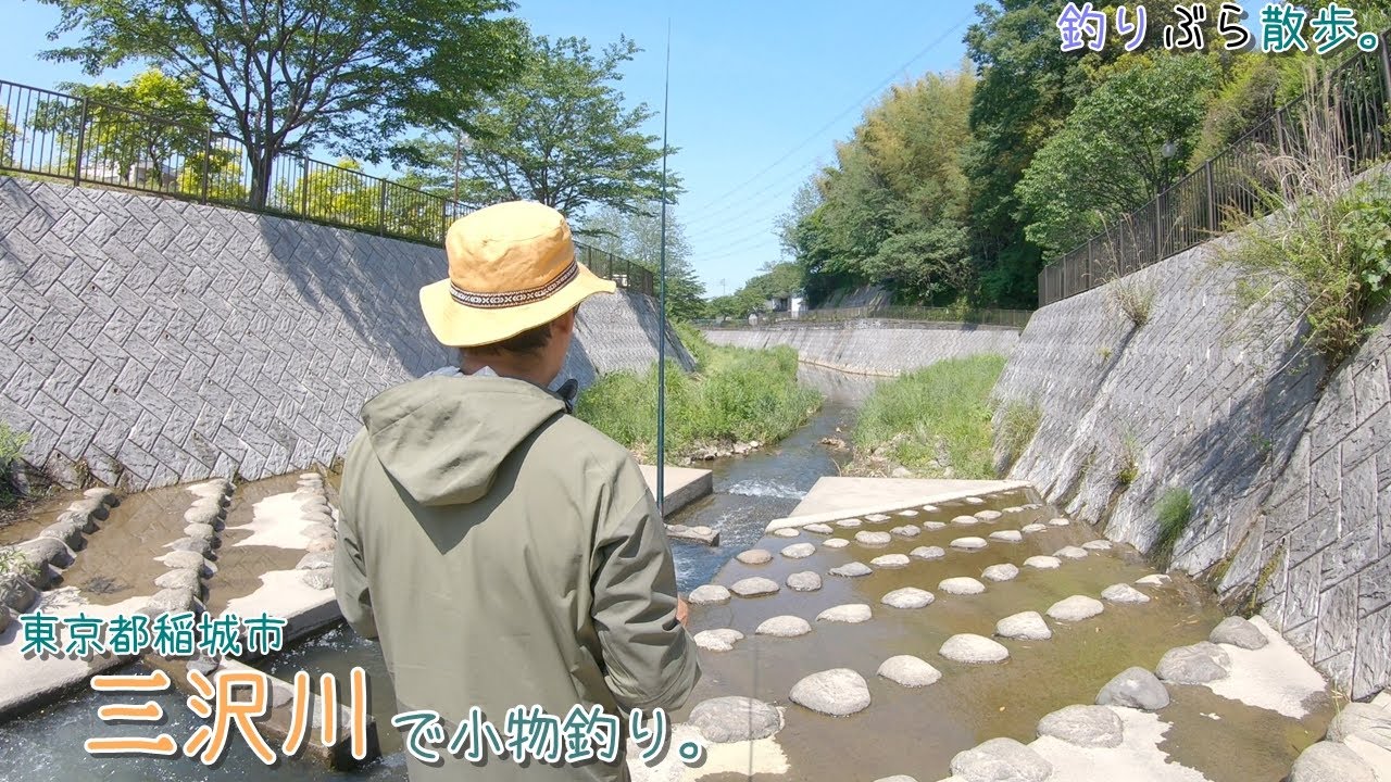 身近な川で釣れる魚は、 夏に向かって彩ってきました♪   稲城市 多摩川の支流・三沢川で小物釣り。
