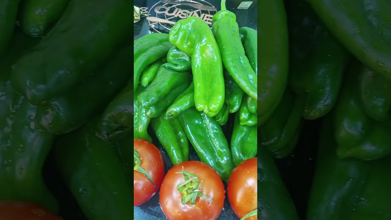 جاو عندي والديا يباركو لعجوزتي جات من العمرة ادخلو تشوفو سينتي 