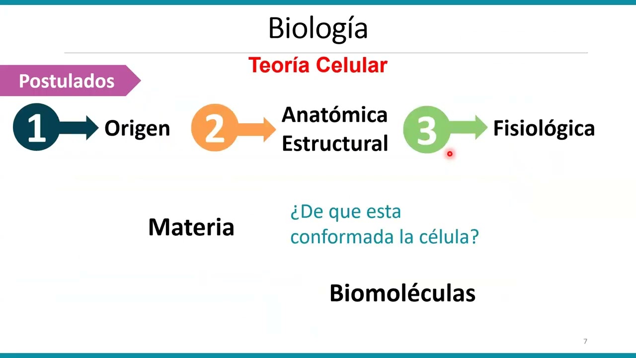 Biología 25 feb 2026 Cursa Puma 25-26