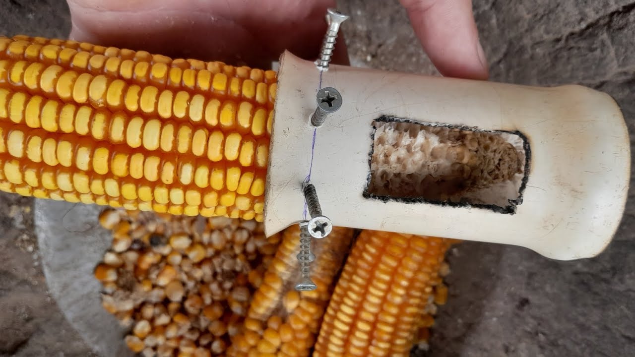 Debulhador de milho caseiro. 🌽
