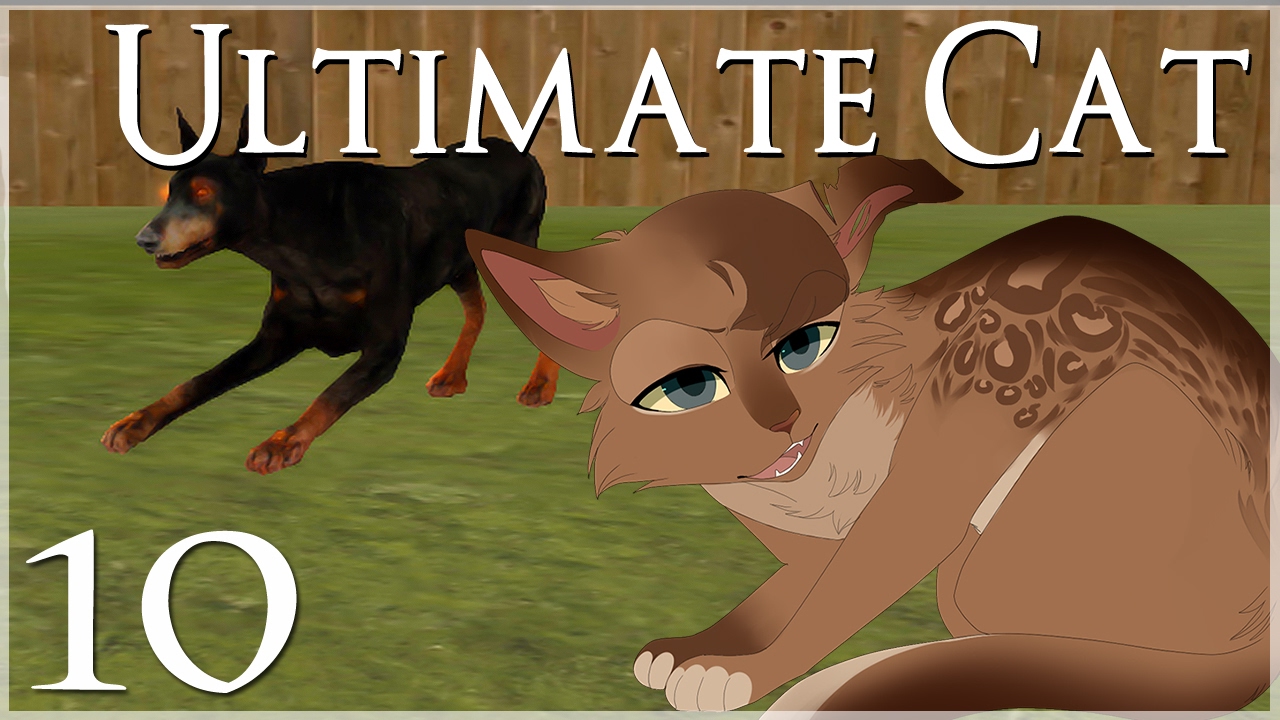The War of Cats vs. Dogs Begins • Ultimate Cat Simulator - Episode #10