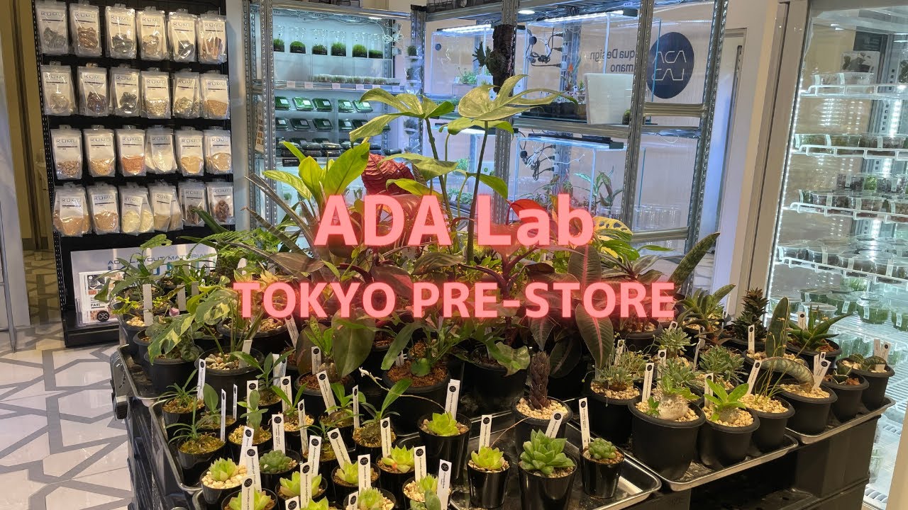 【東京都丸の内】世界的に有名アクアブランドAquaDesignAmano東京研究所の全貌｜期間限定｜ADA Lab TOKYO PRE-STORE vol.1.0