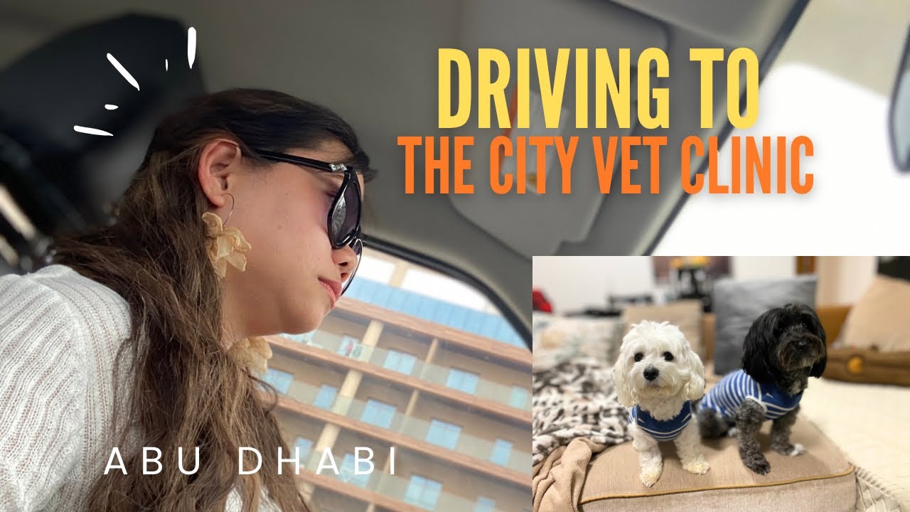 Driving to The City Vet Abu Dhabi Branch