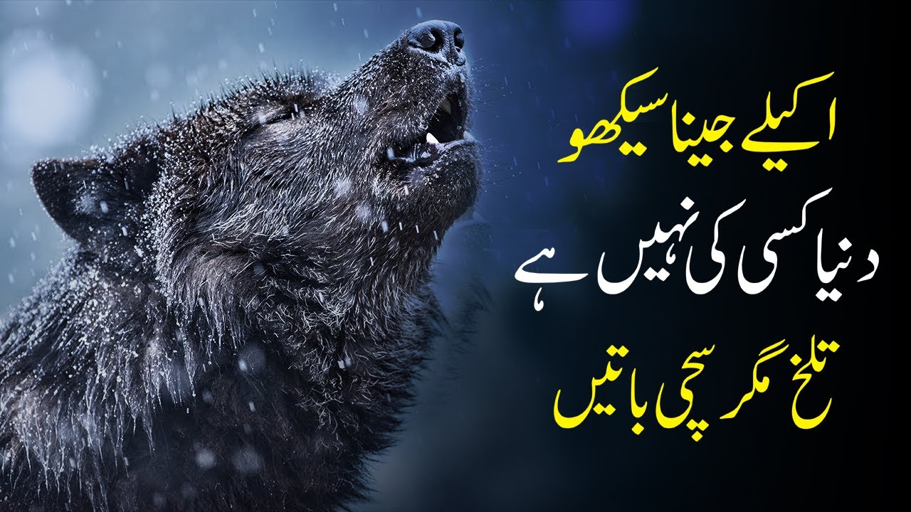 Fight Alone Motivational Video urdu | Inspirational life changing video | you feel like quitting