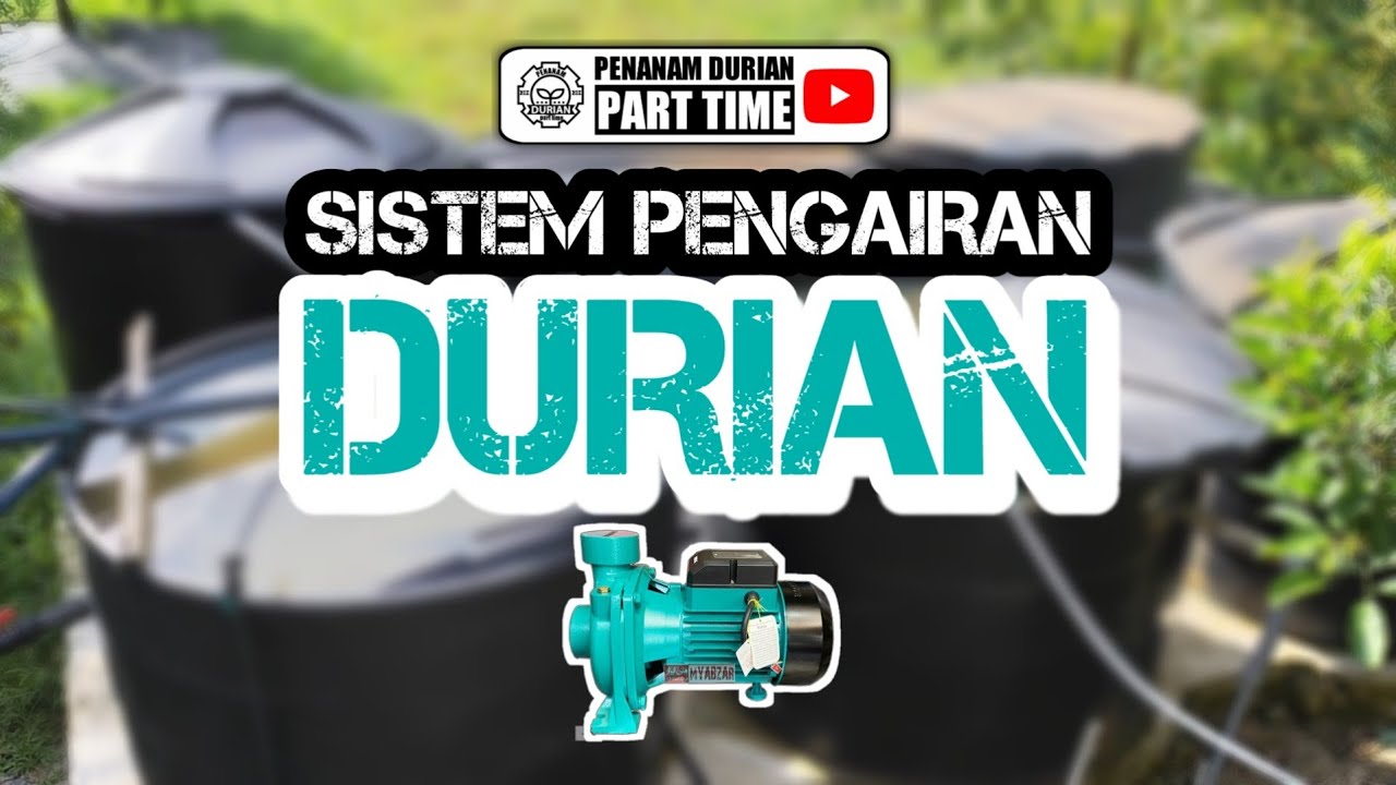 Sistem Pengairan Durian