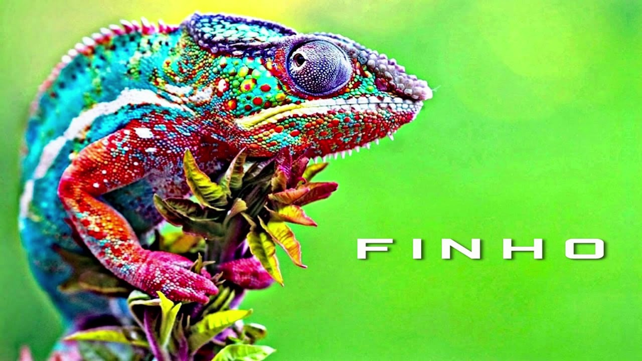 It ain't love - Prod.  F I N H O