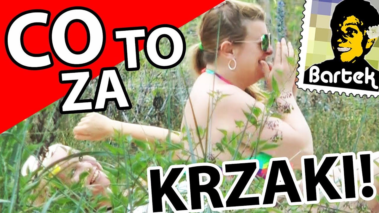 Co to gada w tych krzakach! / Bartek Usa