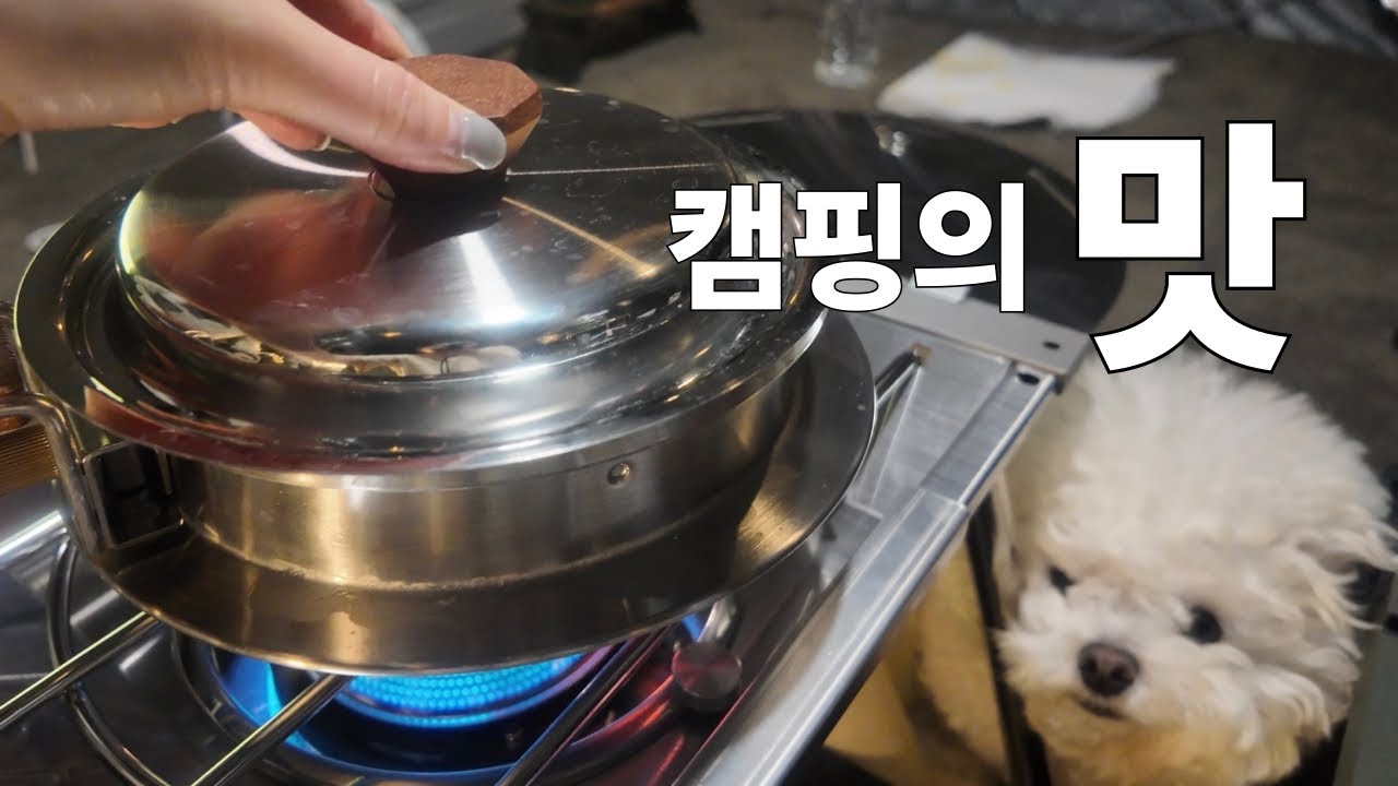 강원도 2박3일 첫 캠핑 브이로그🏕️ 장비 부족으로 망했지만😂메시랑 강릉1박 여행까지