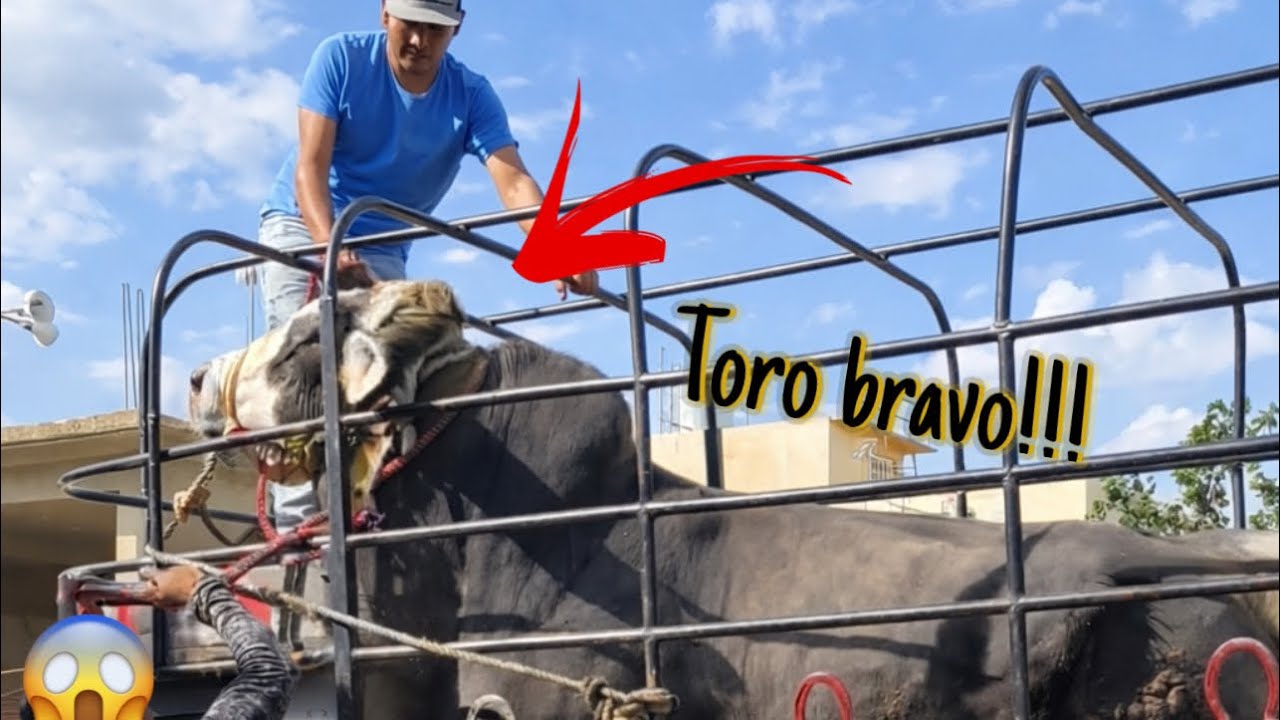 Dela carniceria🥩 hermanos ortega