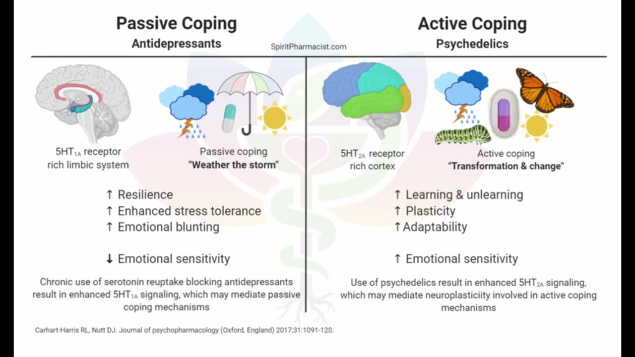 Passive vs Active Coping Serotonin Receptors 5HT2A vs 5HT1A (human studies)