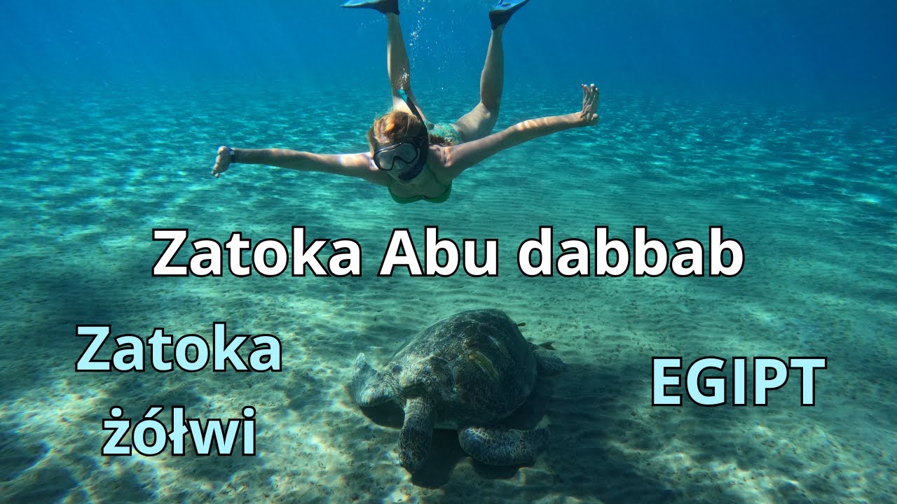 Zatoka Abu dabbab - Egipt - Zatoka żółwi /Marsa Alam / Egypt / Hilton
