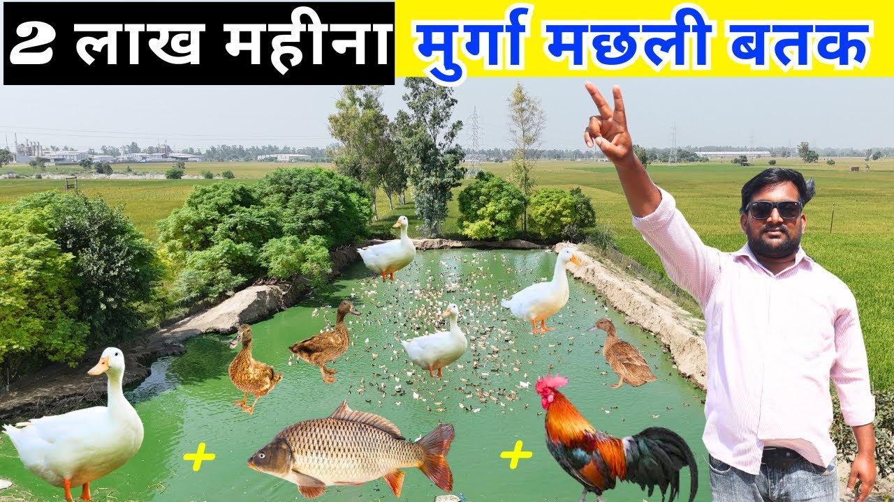 मुर्गा, मछली और बतख से मोटी कमाई ll Fish farming ll Duck farming ll Poultry farming business