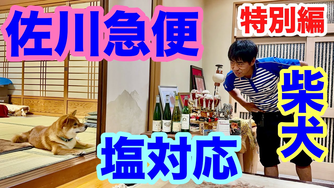 【特別編】佐川急便 塩川さん！カムバック！