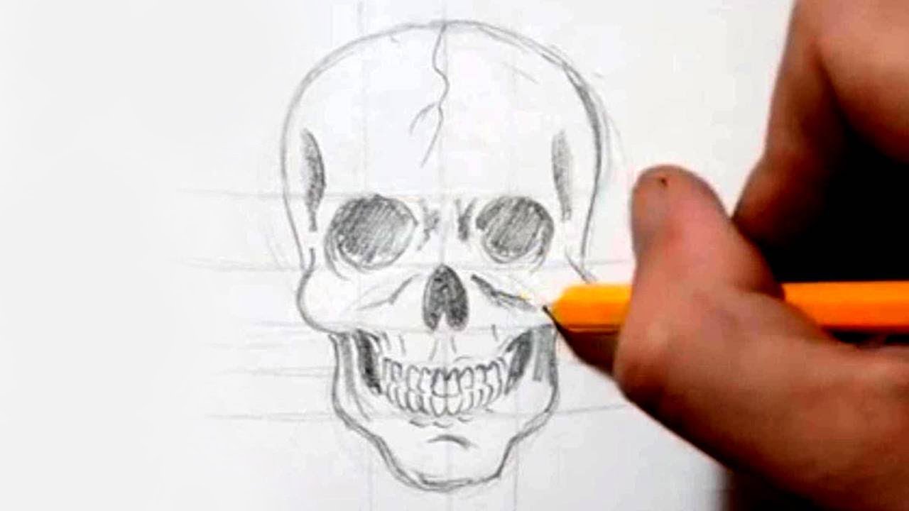 How to Draw a Skull in Under 4 Minutes - Speed Drawing