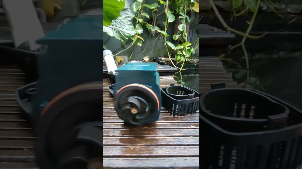 Tutorial bersihkan pompa kolam celup Sunsun JTP 7000