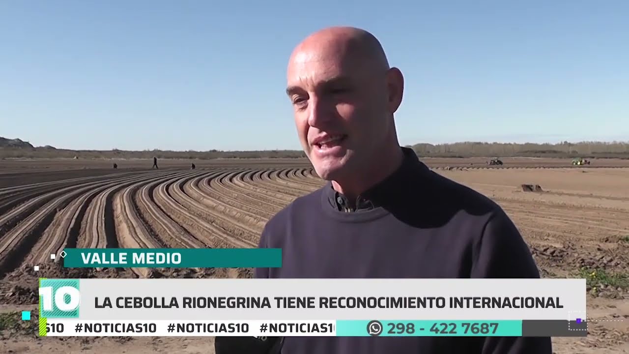 Producción de cebolla en el Valle Medio