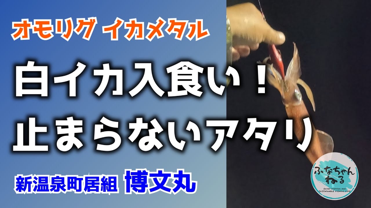 【イカメタル】新温泉町の白イカが入れ食い！オモリグで爆釣劇