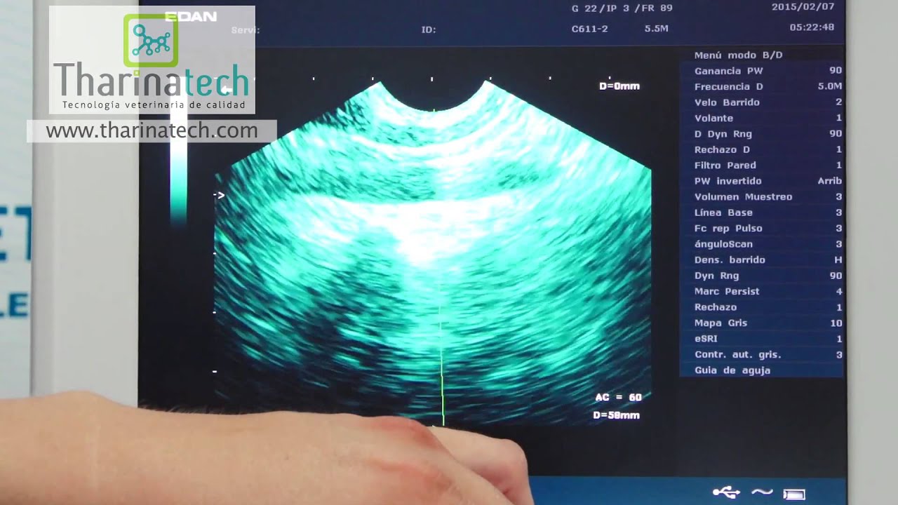 Ecógrafo veterinario - DUS60VET - www.tharinatech.