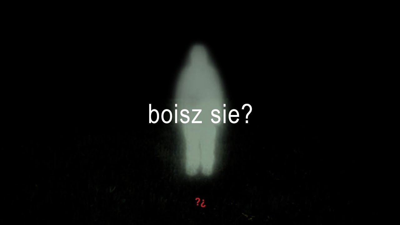 KYOTE - GOŹDZIK