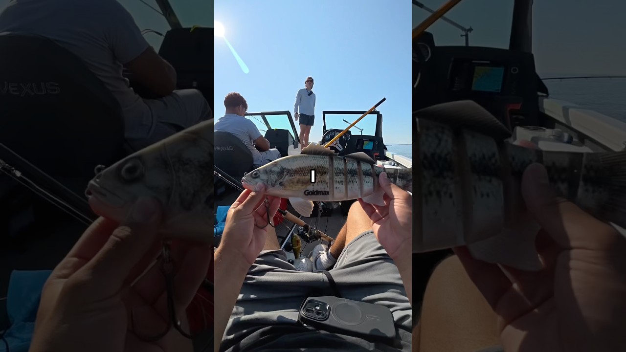 Я поймал БОЛЬШУЮ наживку на БОЛЬШОГО мускуса