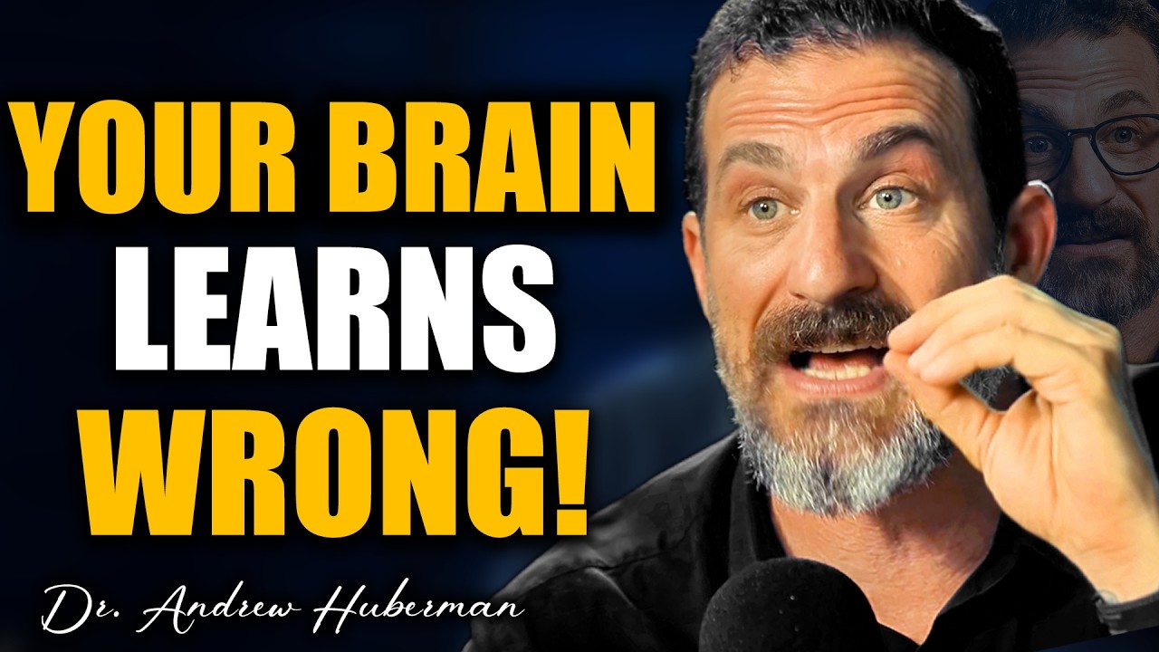 Best Way to Learn Faster: Andrew Huberman Explains Neuroplasticity & Active Recall #andrewhuberman