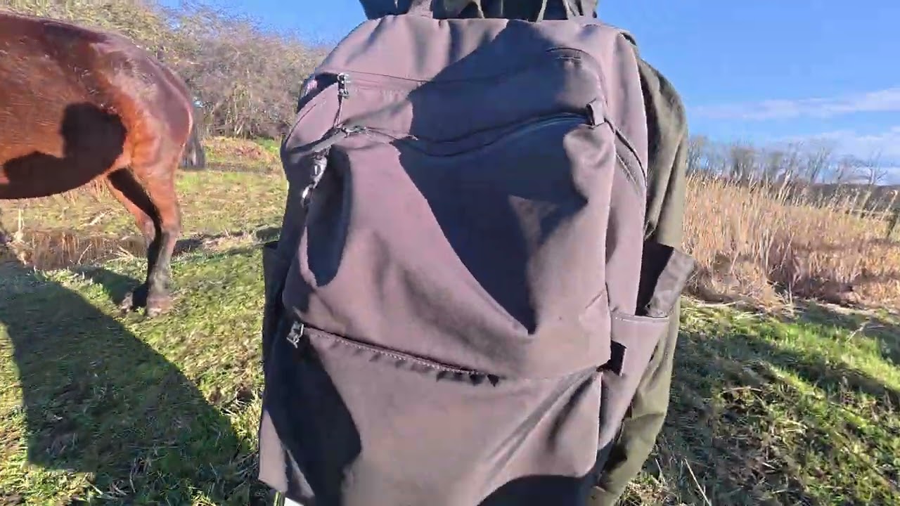 DJI 20260204150744 0333 D