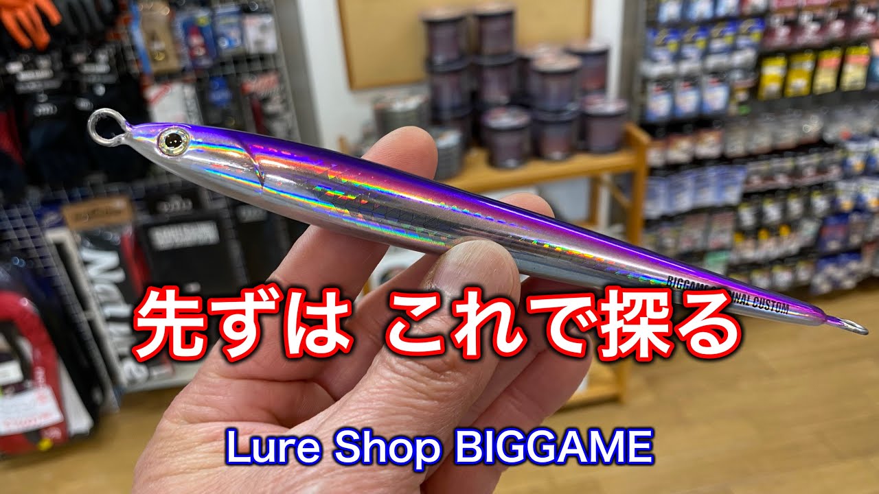 【初心者必見】先ずは、このジグを入れてみて！