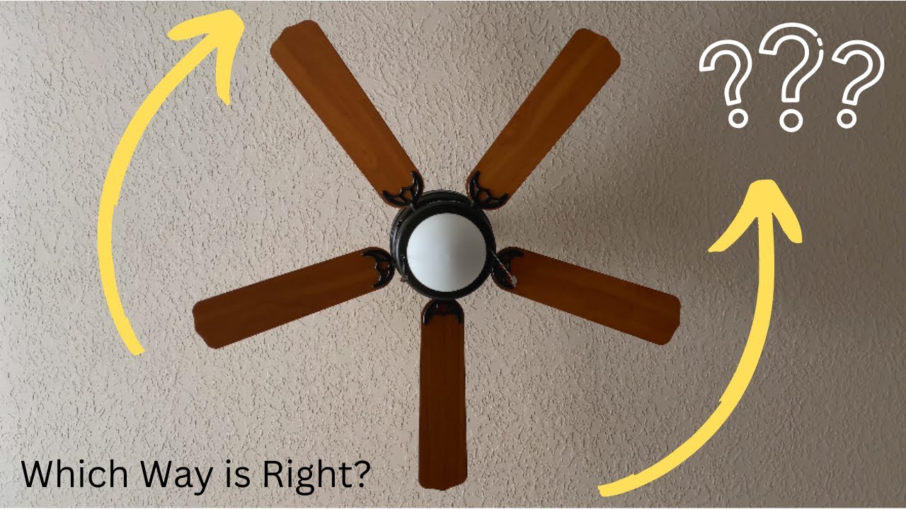 Which Direction Should A Ceiling Fan Turn? | How to Choose the Correct Fan Direction