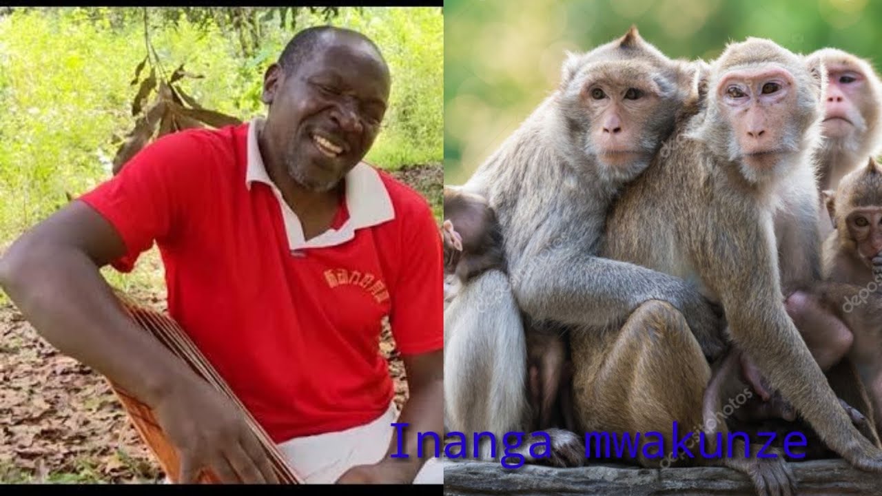 Umugani w' IMPACA na NYIRANZAGE ( Vidéo) by Sibomana Athanase. Inanga mwakunze cyane.