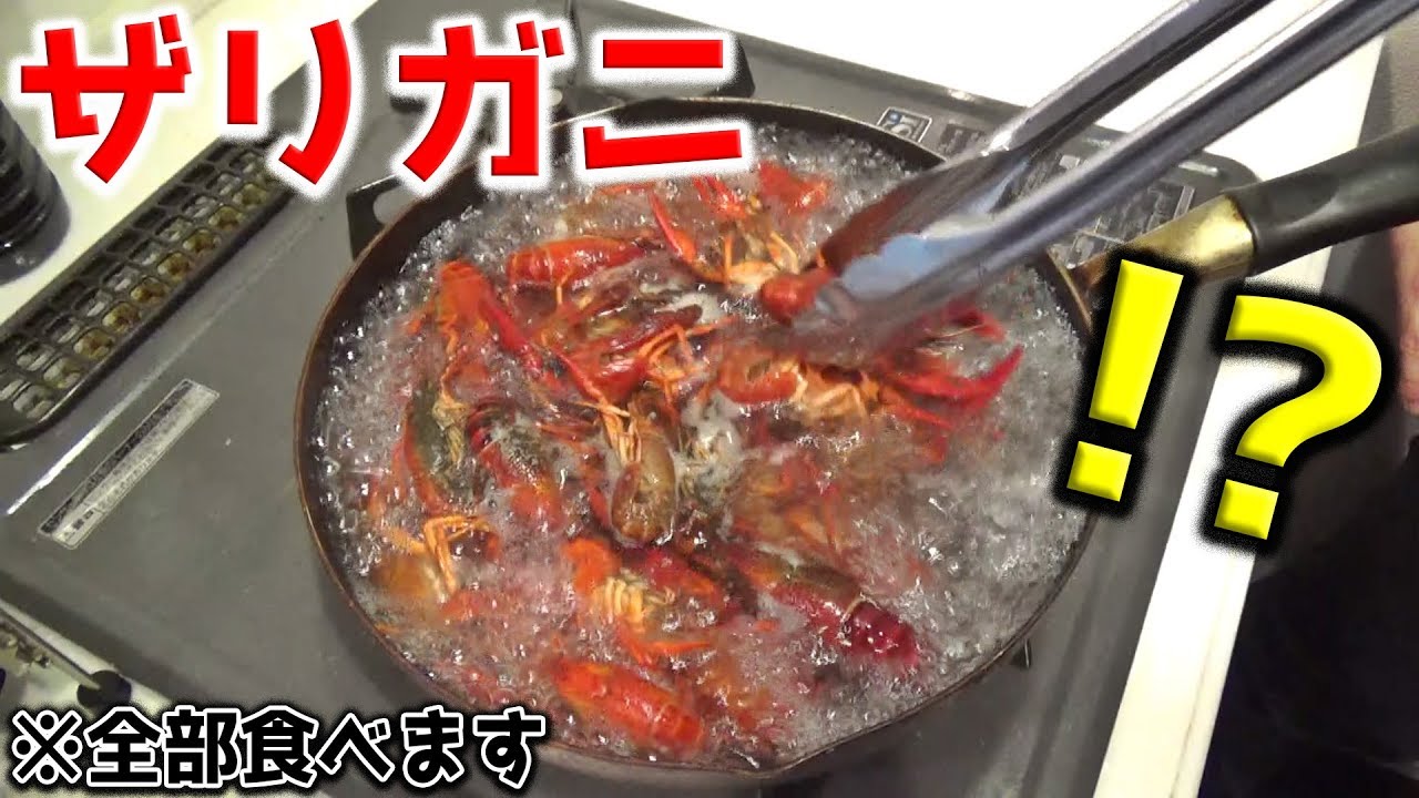 用水路で取った超大量のザリガニを全部食べちゃえばカッコいいと信じている