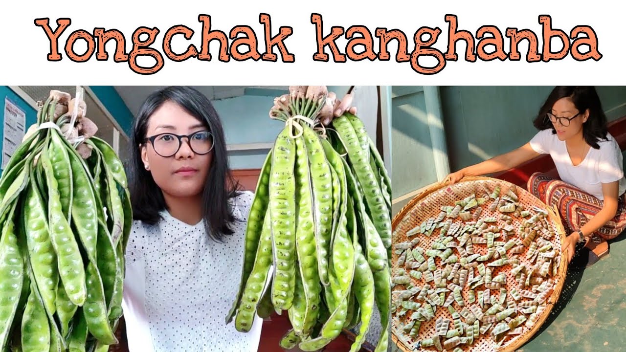 Yongchak Kanghanbidringei Video si hanna yengbiyu||How to preserve stink eans || Kakching Manipur