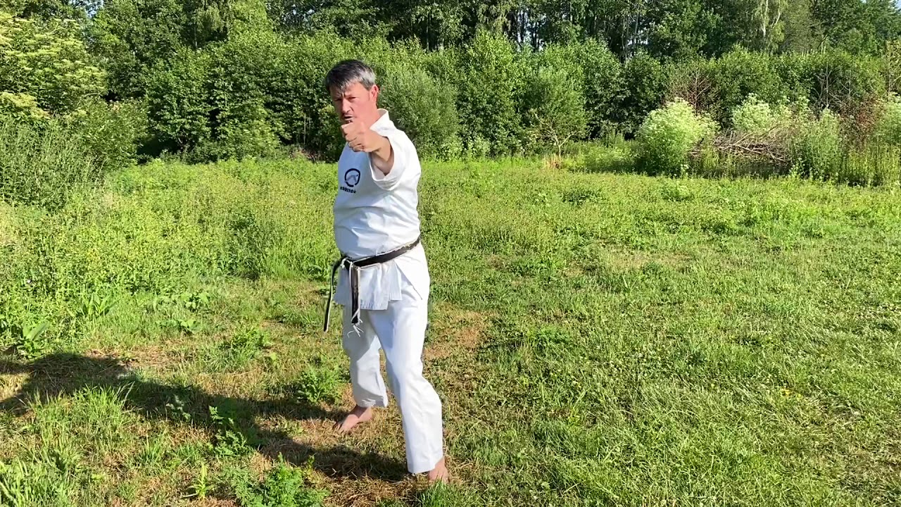 Beginners Shotokan Karate: Uraken Uchi (Back fist strike)