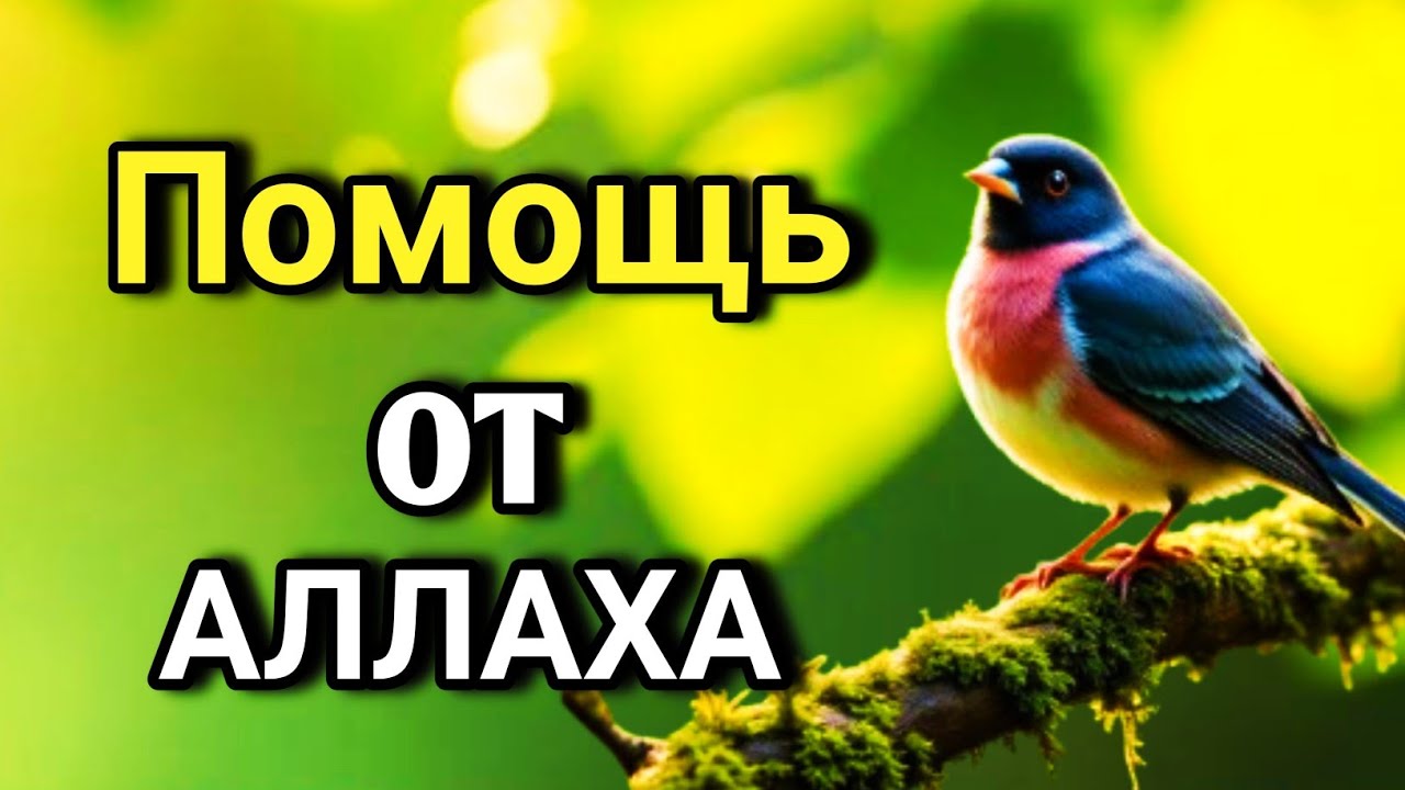 💖🔑 ОЧЕНЬ СИЛЬНЫЙ ДУА - Аллах дарует выход из любой трудности! 🤲✨💯