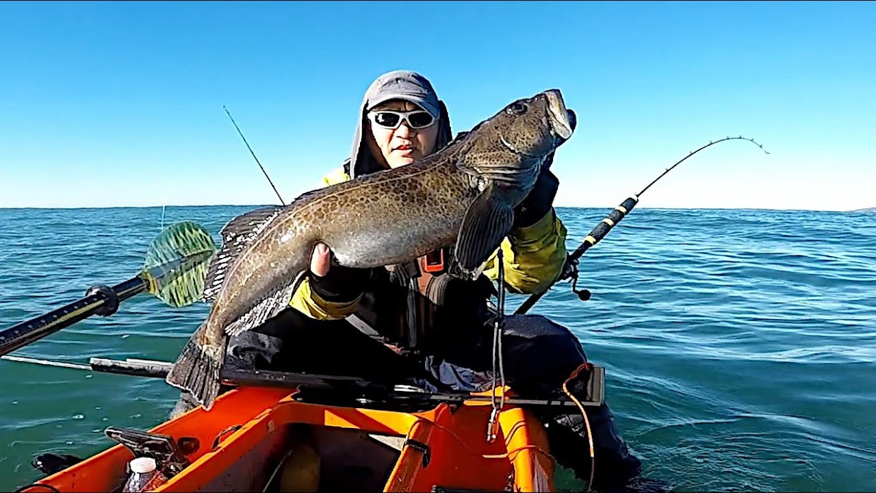 Lingcod НЕ МОЖЕТ УСТОЙТИ ПЕРЕД ЭТОЙ ПРИМАНКОЙ, СЪЕЛ ИХ ЗА СЕКУНДЫ