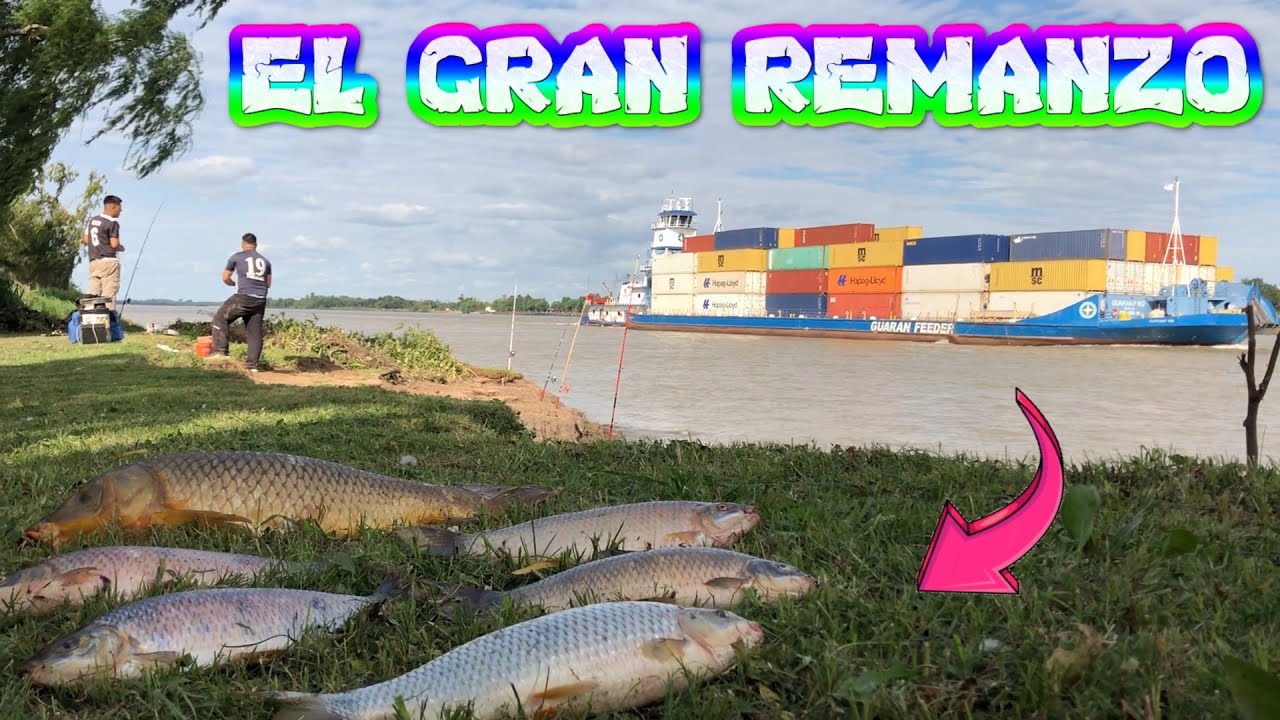 TERRIBLE PESCA DE DORADOS / MORENAS ENORMES /MUCHAS BOGAS / MUCHAS CARPAS...