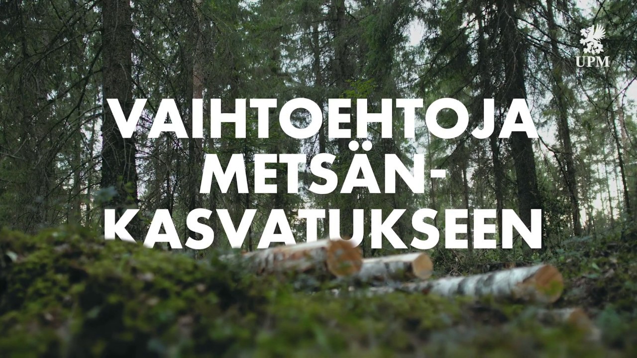 Vaihtoehtoja metsänkasvatukseen  |  UPM Metsä