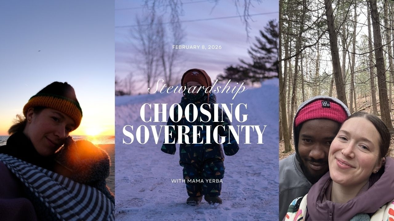 Choosing Sovereignty at Home | Snowboard Prep, Seed Starting & Stewardship