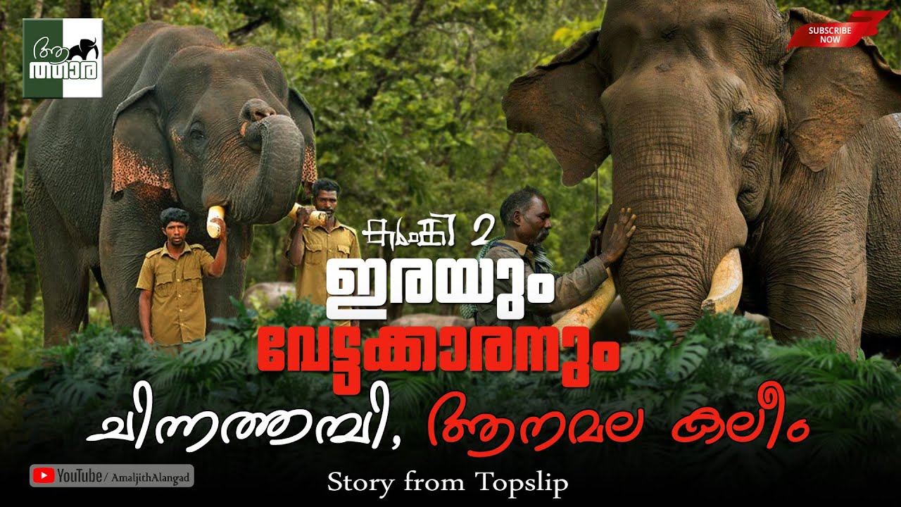 ഇരയും വേട്ടക്കാരനും... Anamala Kaleem | Chinnathambi | Topslip Elephant Camp | Kumki 2