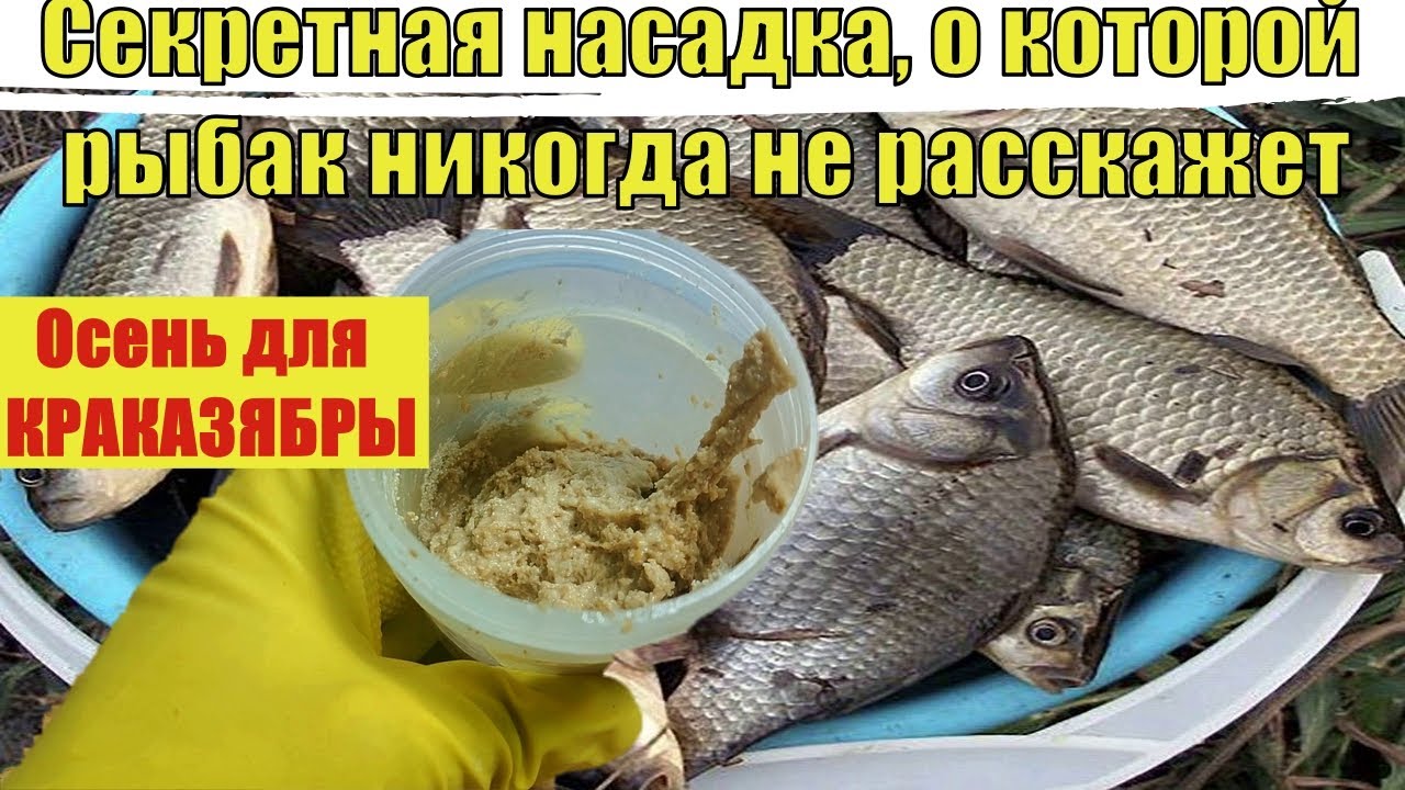 ВОТ ОТ ЧЕГО ДУРЕЕТ ВСЯ РЫБА В НОЯБРЕ!  На крючок это Супер рыболовная насадка на карася леща плотву