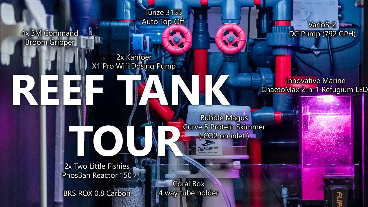 Red Sea 170 Reef Tank Tour