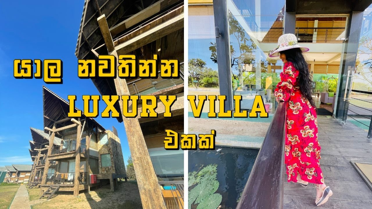 Laya Safari Resort| Luxury Beach Resort in Yala Sri Lanka| Where to stay at Yala🌊🏨