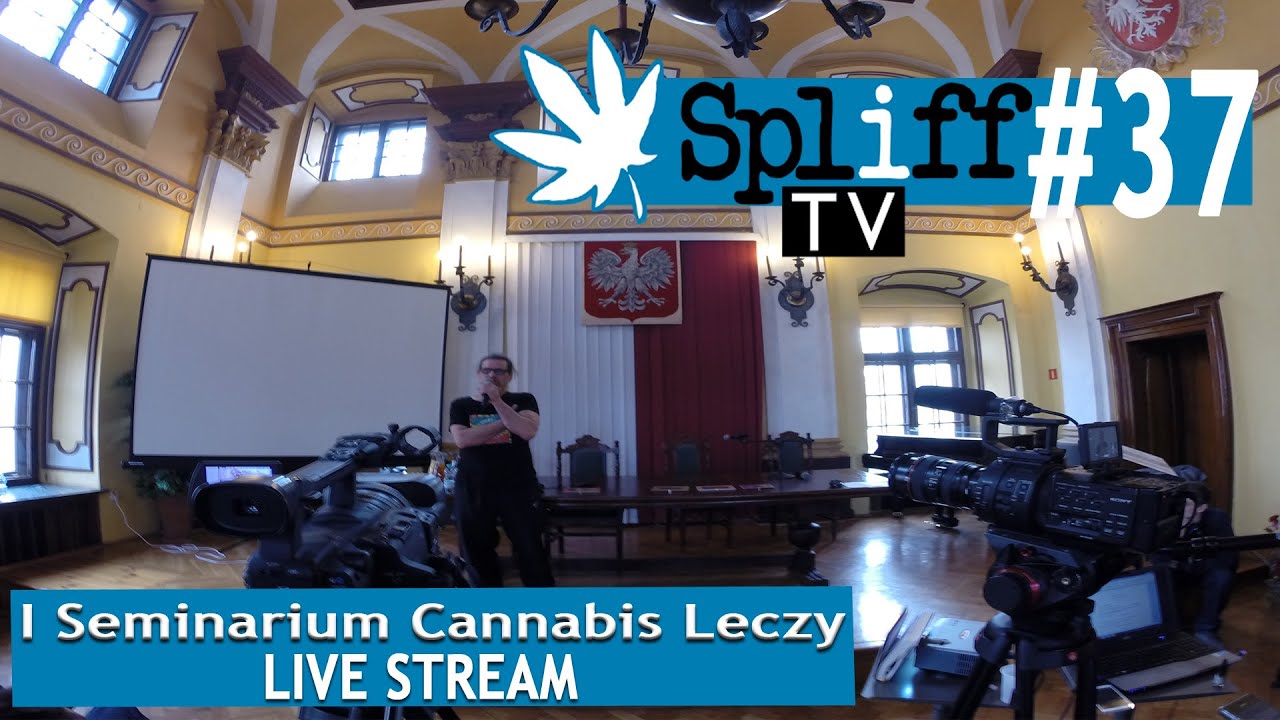 I Seminarium Cannabis Leczy [LIVE STREAM] SPLIFF TV (37)