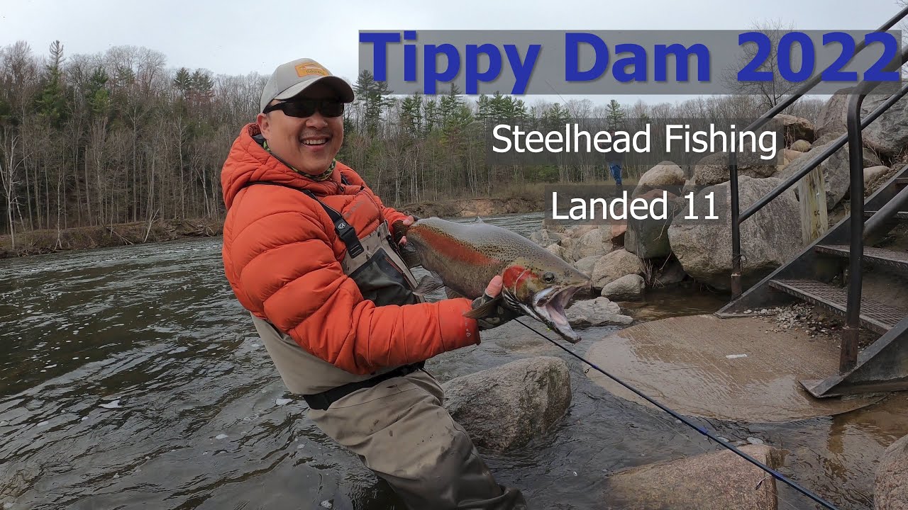 Tippy Dam steelhead fishing 2022.   It was on fired - A must see video [Filmed 5-3-22]