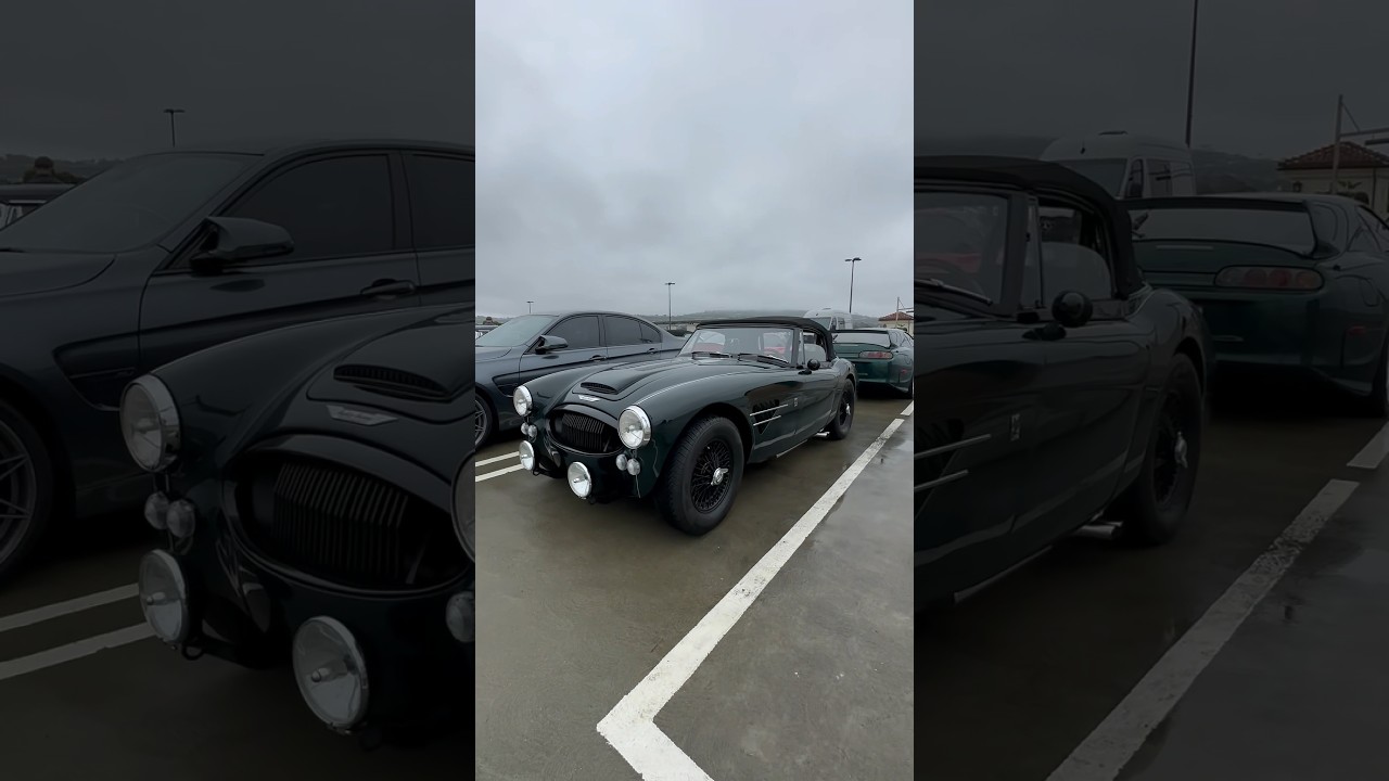 1961 Austin-Healey 3000 #car #shorts #automobile #californiacarculture