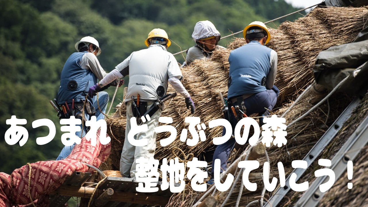 【配信】あつ森の整地をしよう！【実況】