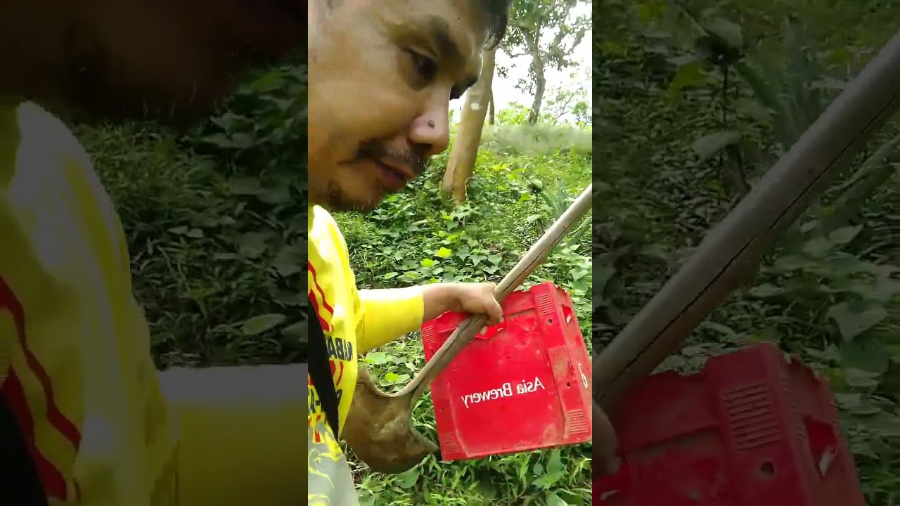 Nasa ugat! ang buhay ng kape at iba 